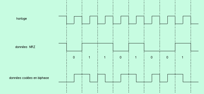 biphase3.gif (9668 octets)