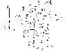 schema2.gif (1171 octets)