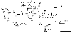 v_pll.gif (265 octets)